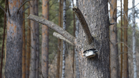 Similar image 20106187