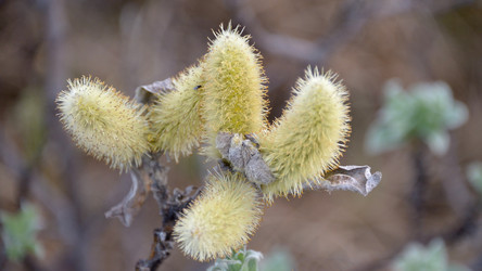 Similar image 20106190