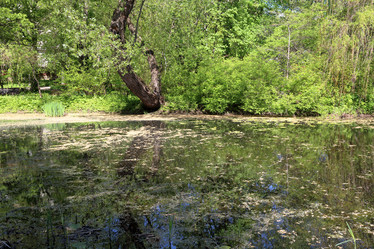 Similar image 20114156