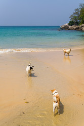 Similar image 20114339