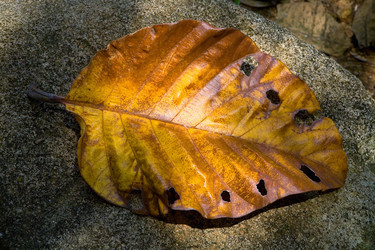 Similar image 20114356