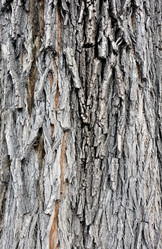 Similar image 20109588