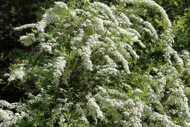 Similar image 20114285