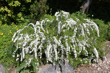 Similar image 20114301