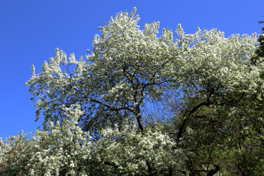 Similar image 20114302