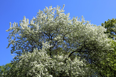 Similar image 20114325