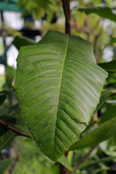 Similar image 20114340