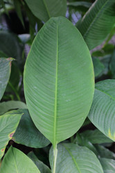 Similar image 20114341