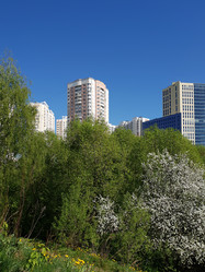 Similar image 20112860