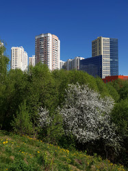 Similar image 20112880