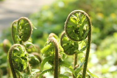 Similar image 20109641