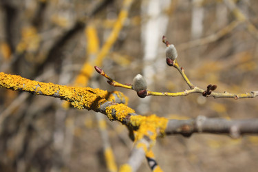 Similar image 20113462