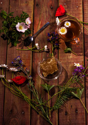 Similar image 20106120