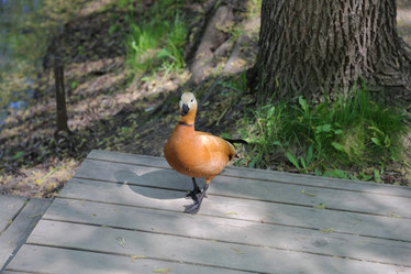 Similar image 20114397