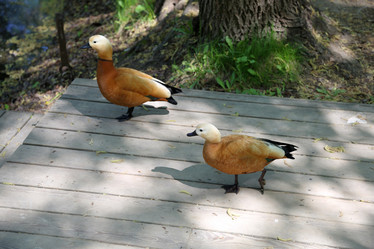 Similar image 20114456