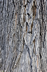 Similar image 20109589