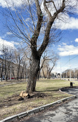 Similar image 20109601