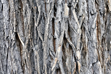 Similar image 20109603