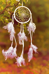 Similar image 20106126