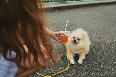 Similar image 20106053