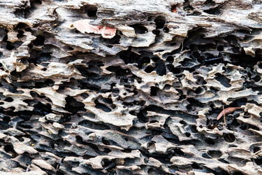 Similar image 20114256