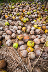 Similar image 20114258