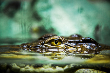 Similar image 20114265