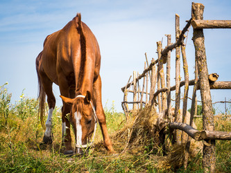 Similar image 20114280