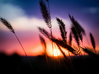 Similar image 20114282