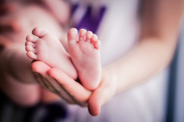 Similar image 20114288