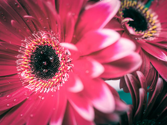 Similar image 20114290