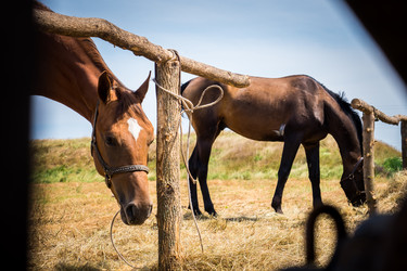 Similar image 20114318