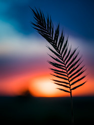 Similar image 20114304