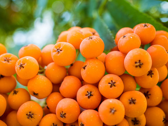 Similar image 20114311