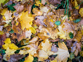 Similar image 20114324