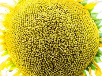 Similar image 20114328