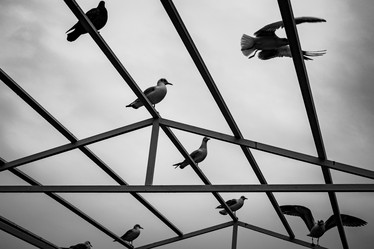 Similar image 20114335