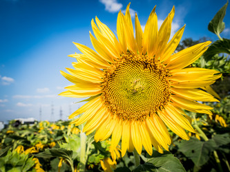 Similar image 20114336