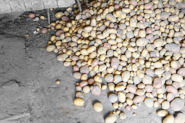 Similar image 20106195