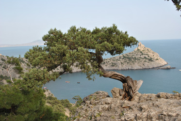 Similar image 20107729