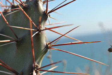 Similar image 20110104