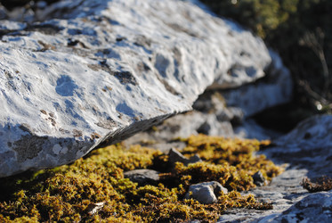 Similar image 20117190