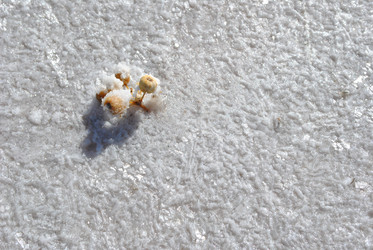 Similar image 20110120