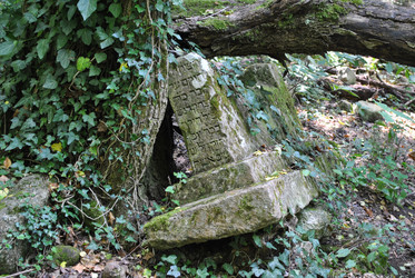 Similar image 20107734