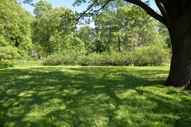 Similar image 20115138