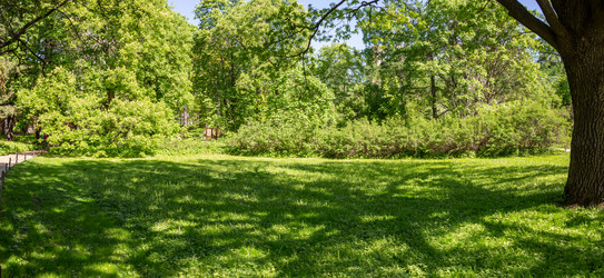 Similar image 20115160