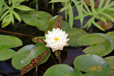 Similar image 20115096