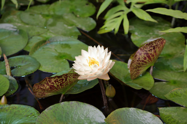 Similar image 20115177