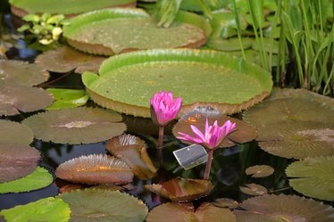 Similar image 20115179