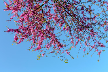 Similar image 20110268